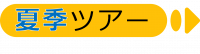 夏季ツアー