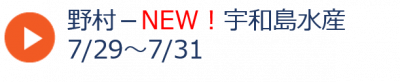 夏＿野村水産