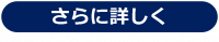 さらに詳しく