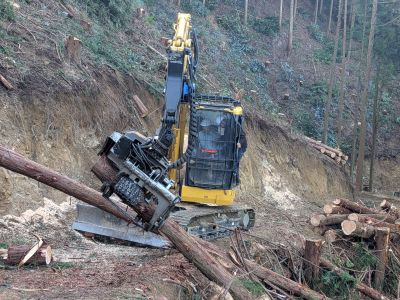 PXL_20260114_054928154